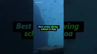 Best Scuba diving School in Goa FlyingFish Scuba School #scubadiving #scubadivinggoa #goa #goalife