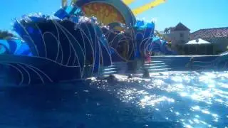Ending of Dolphin show
