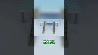 The Evolution of Escalators How They Revolutionized Modern Transport