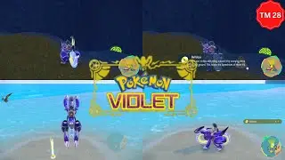 Pokemon Violet The Location of TM 28 Bulldoze At The Wild #shorts