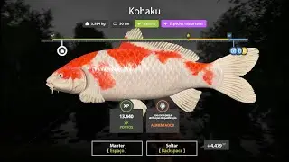 russian fishing 4 ao vivo : copper lake realmente &eacute; bom?caiu a Live galera 