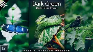 Lightroom Mobile Preset Free Dng | Dark Green Preset Lightroom Preset Free Download |