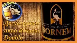 Дегустируем пиво  Борнем дубль.Taste the beer Bornem double #15