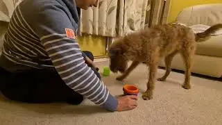stacking cups with Deedee 4