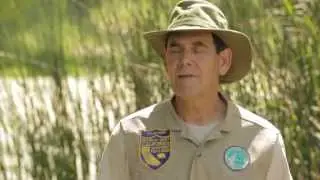 2015 Yolo Basin Foundation 