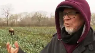 [Doku] Lebenstraum Aussteigen (komplett)