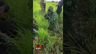 Camuflagem Sniper #airsoft