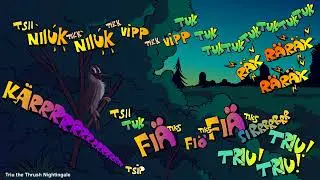 Triu the Thrush Nightingale 2023
