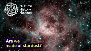 Are we made of stardust? | Surprising Science