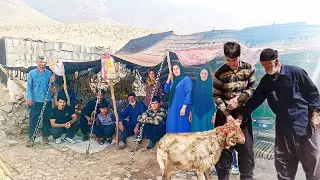 Don't miss this amazing scene; Eid al-Adha in nomadic life