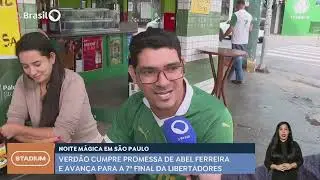 Palmeiras na final da Libertadores - TV Brasil