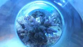 VID 20120615 172319