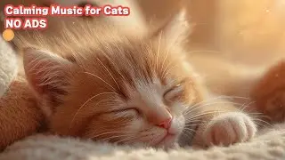 12 Hours Music for Cats to Make Them Happy 🐈 No Ads - Relaxing Cat Sleep & Calm