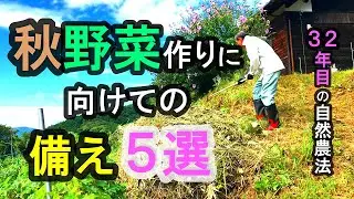 秋野菜作りに向けての備え５選 #自然農法 #自然農 #不耕起