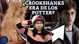 ¿Era CROOKSHANKS el gato de los POTTER? | Teoría de Harry Potter