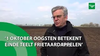 ‘Op 1 oktober consumptieaardappelen oogsten, betekent einde teelt Nederlandse frietaardappelen’
