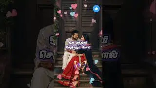 SPB hits/ 90s tamil songs/Tamil old melody songs/Spb whatsapp status/சின்னதம்பி whatsapp status