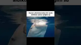 İ&ccedil;tiğim şu miktarı