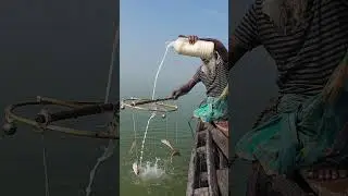 River Fishing Secret Method with Hook Traps 07 #fishing #fishinglife