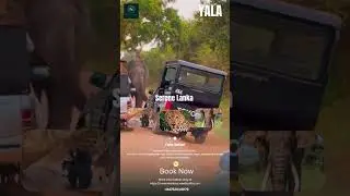 Yala Safari in Sri lanka 🇱🇰  