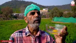 Judging Egg Quality | Egg Yolk and Egg White | Shell Hardness