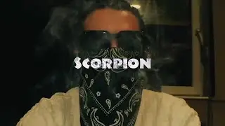 [FREE] KOLJA GOLDSTEIN X UNDACAVA TYPE BEAT - ''Scorpion'' (prod. by kaythe808plug)
