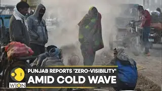 WION Climate Tracker: Punjab's Bhatinda reports 'Zero-Visibility' amid cold wave | World News | WION
