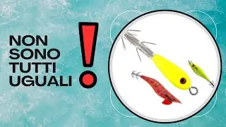 Tataki, Oppai, Sutte ed Egi: tutte le differenze spiegate bene