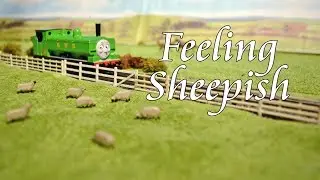 Feeling Sheepish