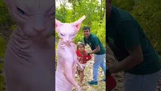 Baby girl and papa  Dancing with cat 🐈 🥶😳🤪🤣 #shorts #viral #trending #viralvideos #shortvideo