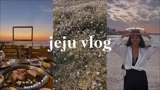 JEJU VLOG 🍊 live octopus & black hog pork, drinking with shop owners, flower fields & unreal views