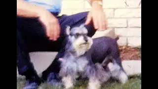Retro Family Films, Kotowicz collection, boat, family dogs, old cars, motorcycle, TV, 11th reel