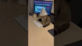 UFO's cat🛸👽