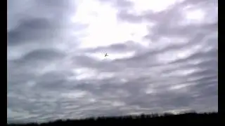 Hobbyzone Super Cub LP, My Best Flight
