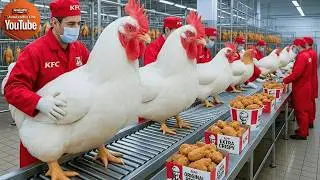 Inside the Factory KFC: The Journey From Fresh Chicken to Super Delicious KFC Fried Chicken