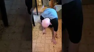 Hoard Life: Cleaning up spilled pomegranate seeds. 22 December 2022