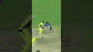 Best stumping by MS Dhoni #cricket #msd #trend #ytshorts #viral