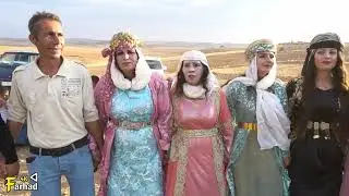 حفلات كوباني قرية ستي أحمد ودلفين 3فيديو فرهاد 0933130464