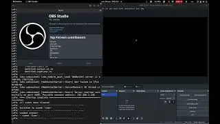 OBS Studio - Pipewire Screen Capture Not Working.