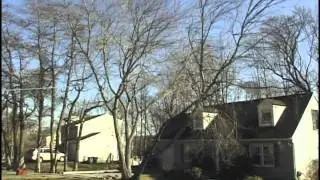 Tree Service Newtown Square PA 19073