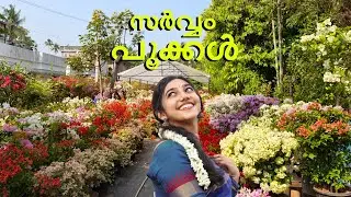 ഇത്രയും മനോഹരമായ ബോഗൈൻ വില്ലേ ഗാർഡൻ കേരളത്തിൽ വേറെ കാണില്ല l alpine rose garden varapuzha 2026 l