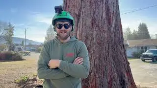 ANOTHER embarrassing update on my tree service!