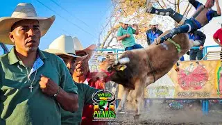 ‼️Qu3daron En Malas Condiciones Los Jinetes‼️Rancho 3 Pilares 🤠En Tepejillo,Oax🌏5-01-2026