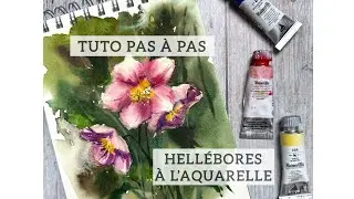 Hell&eacute;bores &agrave; l&rsquo;aquarelle - Tutoriel pas &agrave; pas | #10jours_enfleurs2