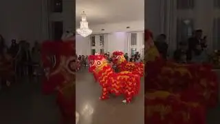 When you want wedding DRAGONS!!!🐲🐉🪩