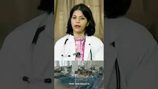 Importance of Donating Blood | Dr Amrita Ramaswami, SR Consultant Hematologist #ActionCancerHospital
