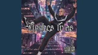 Noches Frias