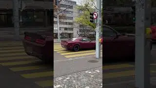 Dodge Challenger: мускулистые бьюти-круизы от StreetWheelz