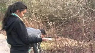 Bird watching adventure