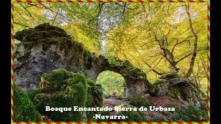 Bosque encantado Sierra de Urbasa  -Navarra-